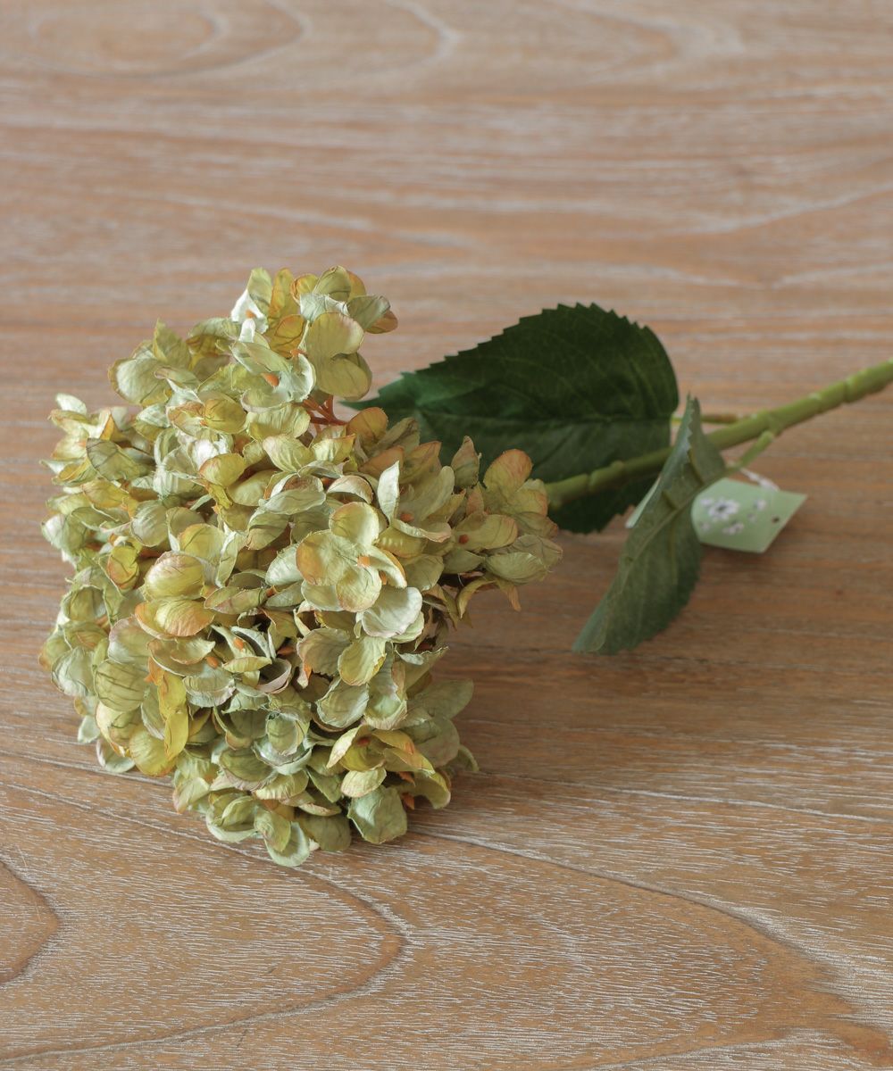 商品一覧 | ブランドジュリエ